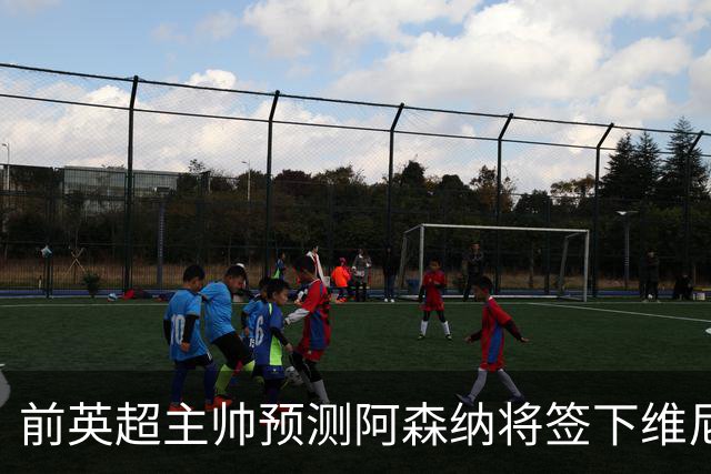前英超主帅预测阿森纳将签下维尼修斯：“这笔交易已成定局”