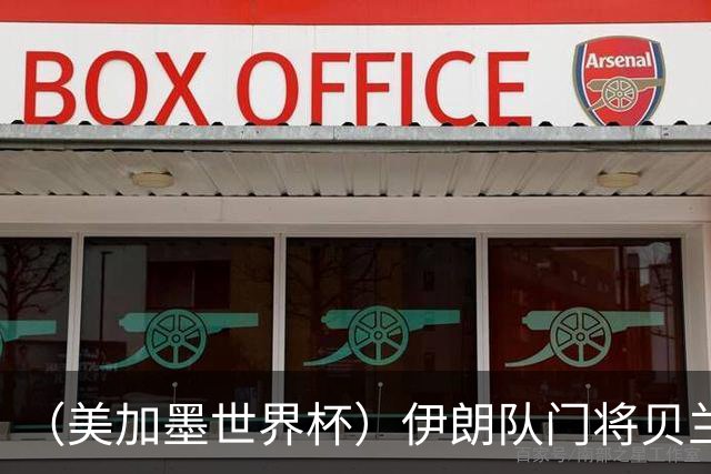 （美加墨世界杯）伊朗队门将贝兰万德的“满分”