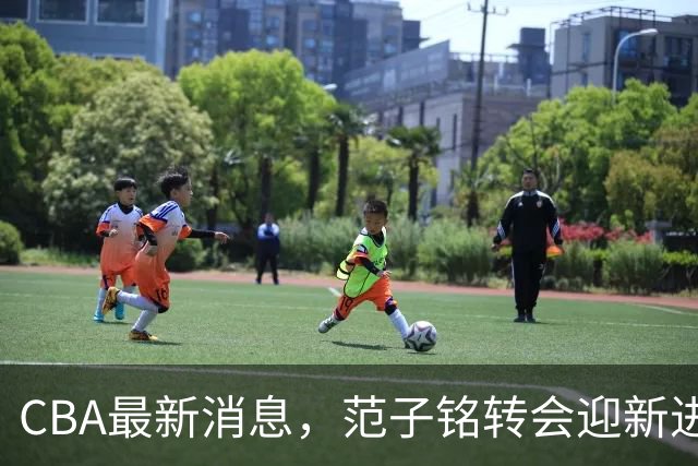 CBA最新消息，范子铭转会迎新进展，广东男篮杜锋等多人有新动态